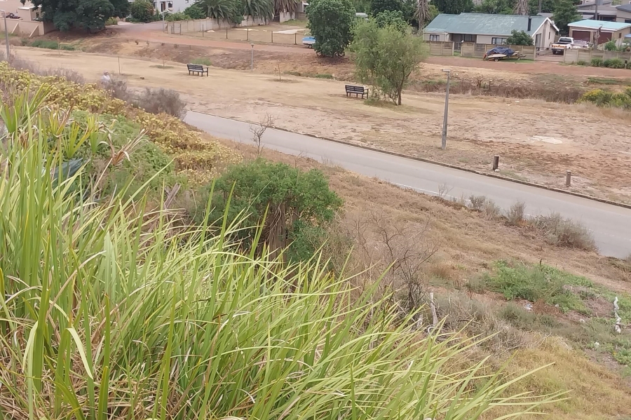 0 Bedroom Property for Sale in Heidelberg Western Cape